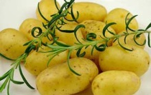 Catering Partyservice Leipzig Buffet